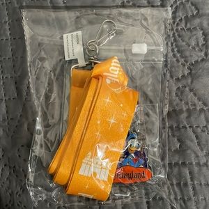 Disneyland Lanyard, pass holder and pin